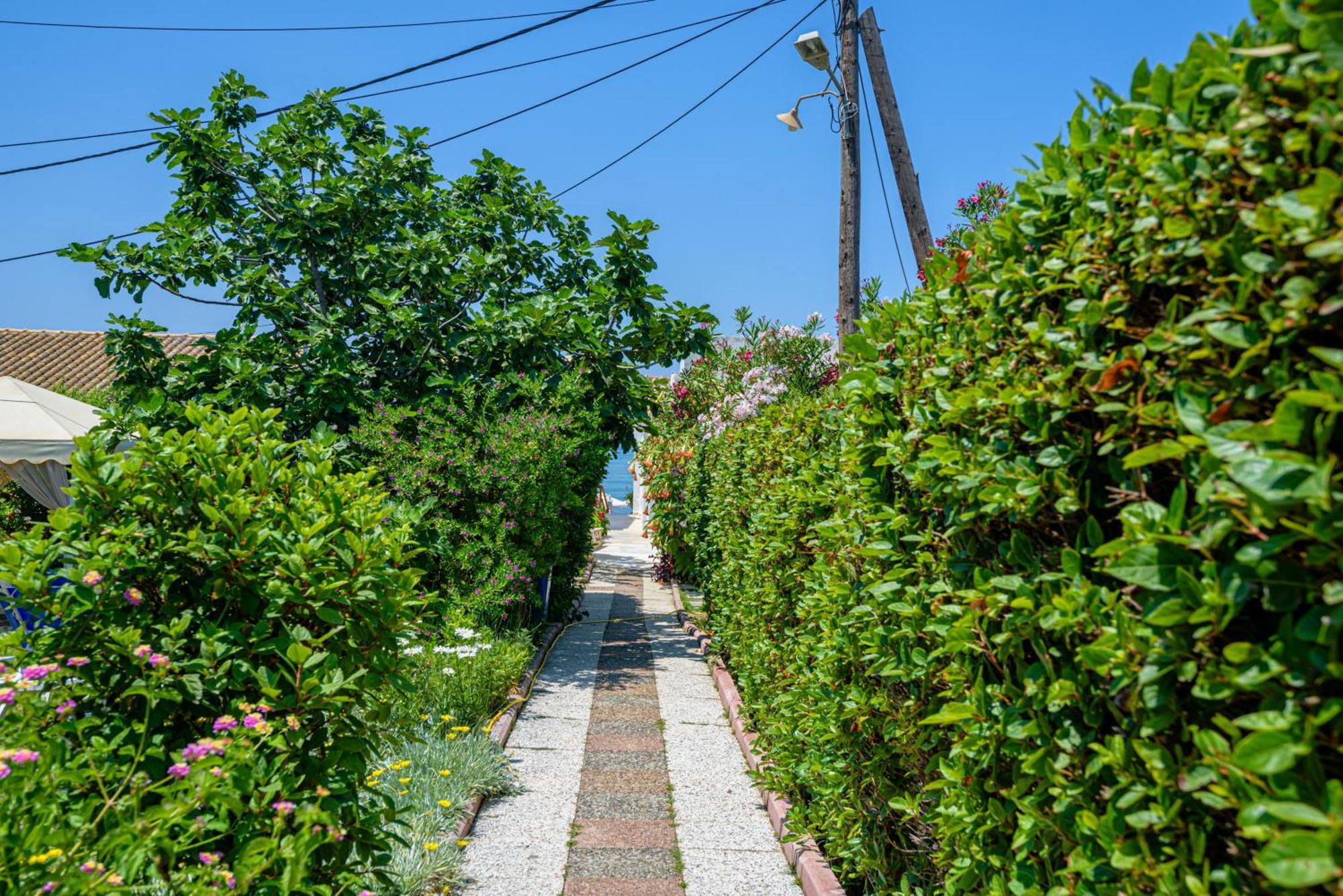 Elena'S Seaside Apartments & Studios Agios Gordios  Zewnętrze zdjęcie